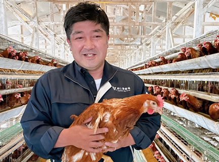 新鮮で美味しい卵