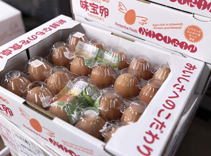 新鮮で美味しい卵