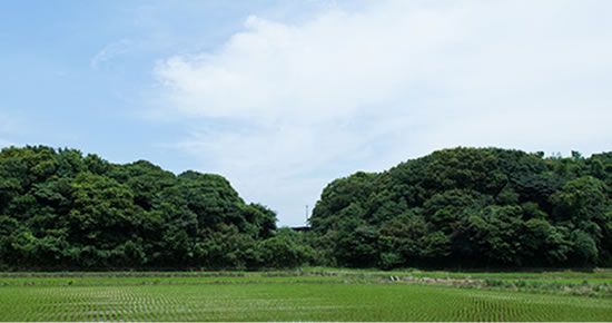 環境へのこだわり