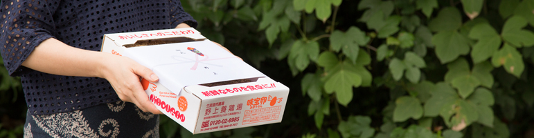 商品注文のご案内